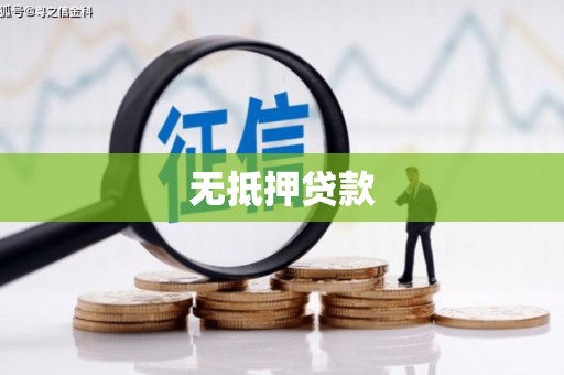 竹溪无抵押贷款