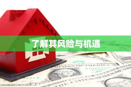 竹溪了解其风险与机遇