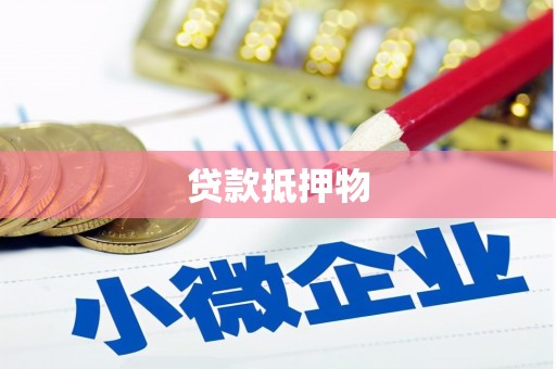 竹溪贷款抵押物