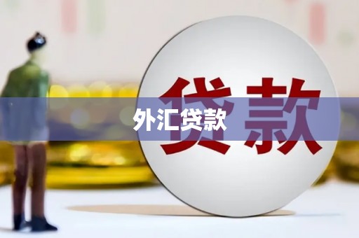 竹溪外汇贷款
