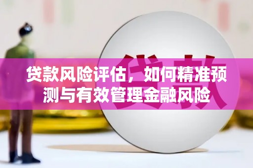 竹溪贷款风险评估，如何精准预测与有效管理金融风险