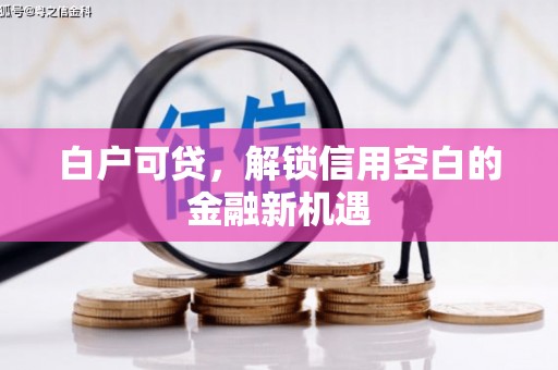 竹溪白户可贷，解锁信用空白的金融新机遇