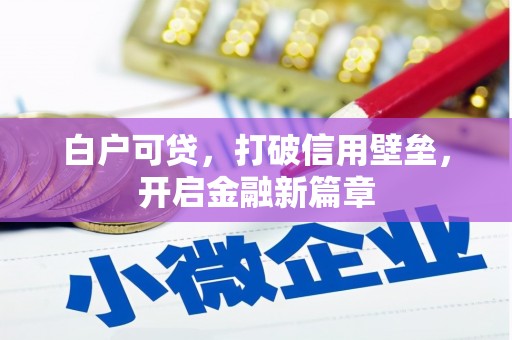 竹溪白户可贷，打破信用壁垒，开启金融新篇章