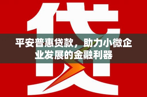 竹溪平安普惠贷款，助力小微企业发展的金融利器