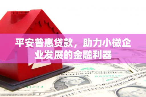 竹溪平安普惠贷款，助力小微企业发展的金融利器