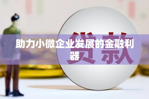 竹溪助力小微企业发展的金融利器