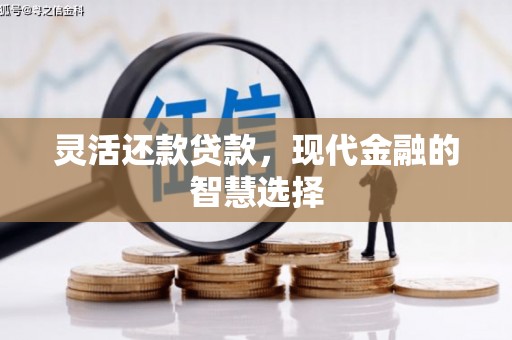竹溪灵活还款贷款，现代金融的智慧选择