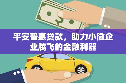 竹溪平安普惠贷款，助力小微企业腾飞的金融利器