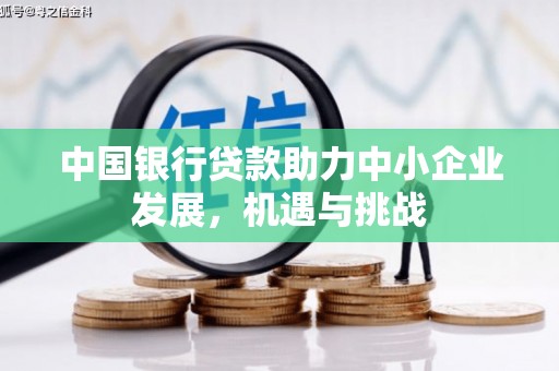 竹溪中国银行贷款助力中小企业发展，机遇与挑战