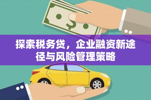 竹溪探索税务贷，企业融资新途径与风险管理策略