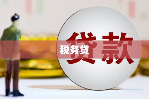 竹溪税务贷