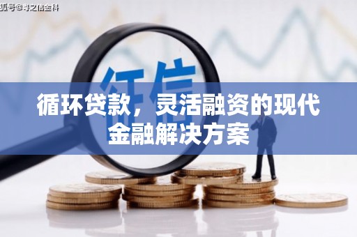 竹溪循环贷款，灵活融资的现代金融解决方案