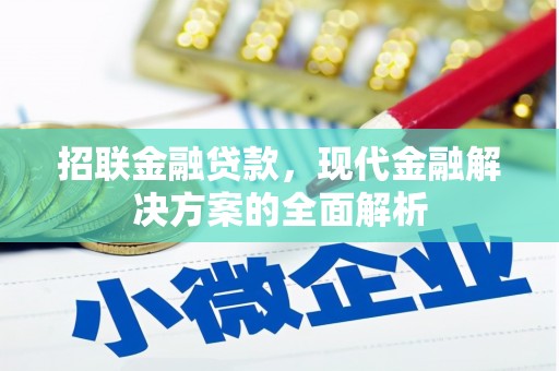 竹溪招联金融贷款，现代金融解决方案的全面解析
