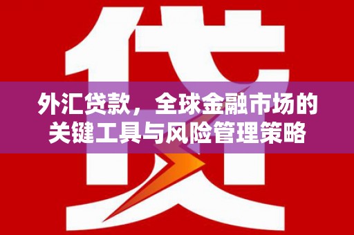 竹溪外汇贷款，全球金融市场的关键工具与风险管理策略