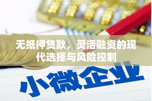 竹溪无抵押贷款，灵活融资的现代选择与风险控制
