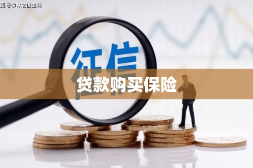 竹溪贷款购买保险