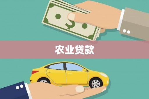 竹溪农业贷款