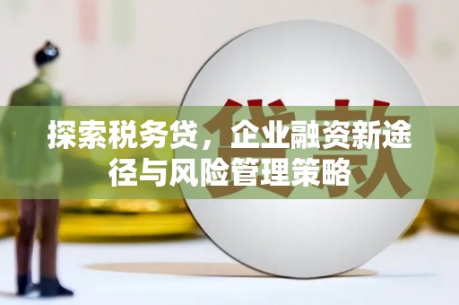 竹溪探索税务贷，企业融资新途径与风险管理策略