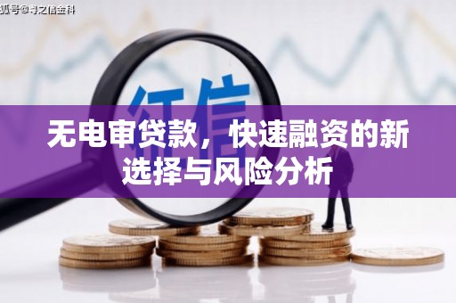竹溪无电审贷款，快速融资的新选择与风险分析