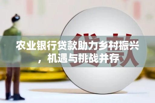 竹溪农业银行贷款助力乡村振兴，机遇与挑战并存