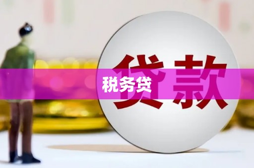 竹溪税务贷