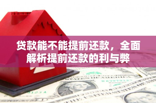 竹溪贷款能不能提前还款，全面解析提前还款的利与弊