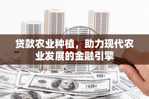 竹溪贷款农业种植，助力现代农业发展的金融引擎