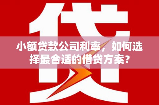 竹溪小额贷款公司利率，如何选择最合适的借贷方案？