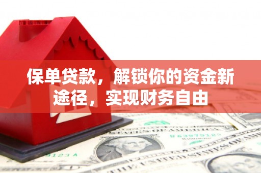 竹溪保单贷款，解锁你的资金新途径，实现财务自由