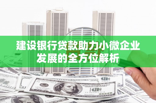 竹溪建设银行贷款助力小微企业发展的全方位解析