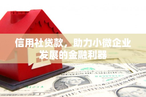 竹溪信用社贷款，助力小微企业发展的金融利器