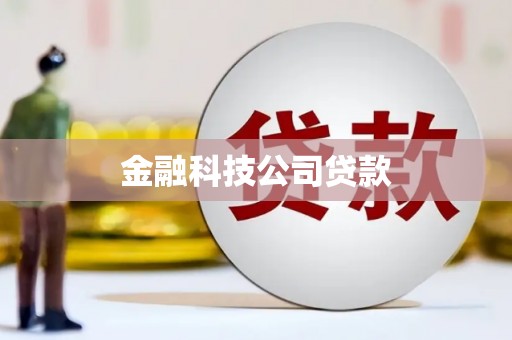 竹溪金融科技公司贷款