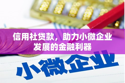 竹溪信用社贷款，助力小微企业发展的金融利器