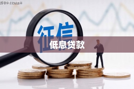 竹溪低息贷款
