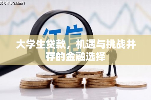 竹溪大学生贷款，机遇与挑战并存的金融选择