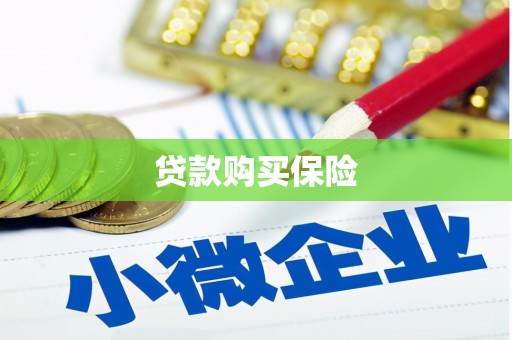 竹溪贷款购买保险