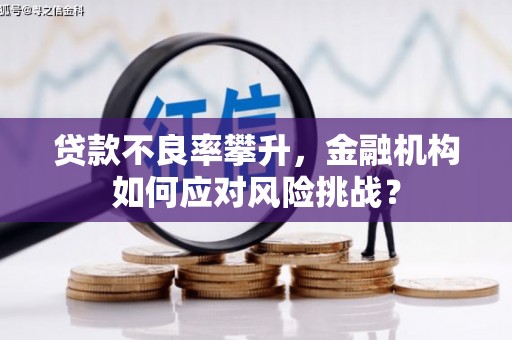 竹溪贷款不良率攀升，金融机构如何应对风险挑战？