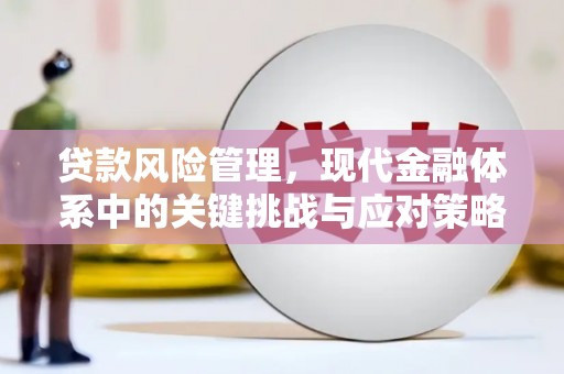 竹溪贷款风险管理，现代金融体系中的关键挑战与应对策略