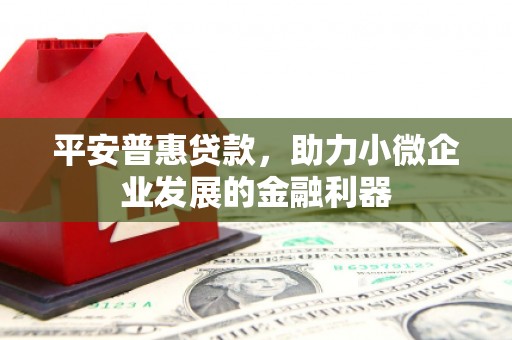 竹溪平安普惠贷款，助力小微企业发展的金融利器