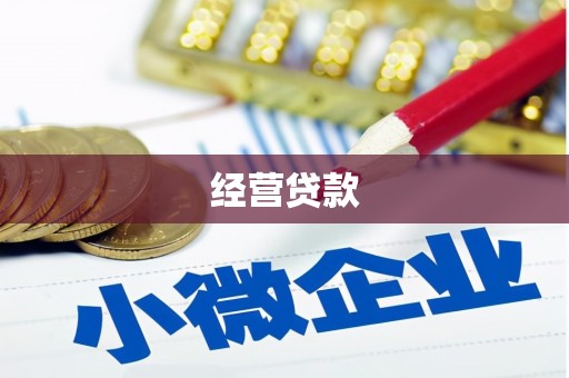 竹溪经营贷款